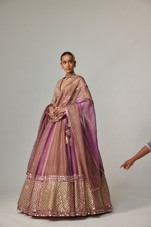 Mud Mauve Multicolor Chita Sequin Scattered Lehenga Set With V Neck Full Sleeves